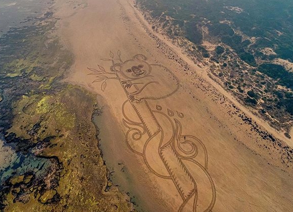 Artiest brengt pakkend eerbetoon aan alle dieren die omkwamen in bosbranden Australië