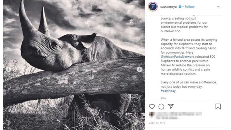 Prins Harry krijgt ongelijk in rechtszaak tegen tabloid die hem beschuldigde van gefoefel bij natuurfoto’s