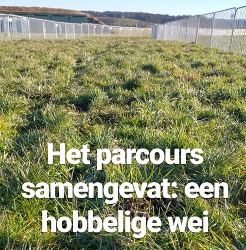 Wil je niks missen van het WK veldrijden in Dübendorf? Volg sportwereld.be op Instagram!