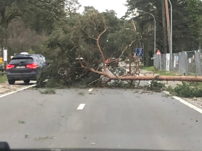 Storm Dennis: warmste 16 februari ooit, mét rukwinden tot 101 km per uur en heel wat schade