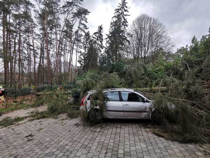 Storm Dennis: warmste 16 februari ooit, mét rukwinden tot 101 km per uur en heel wat schade