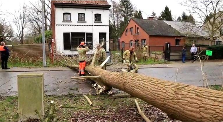 Storm Dennis: warmste 16 februari ooit, mét rukwinden tot 101 km per uur en heel wat schade