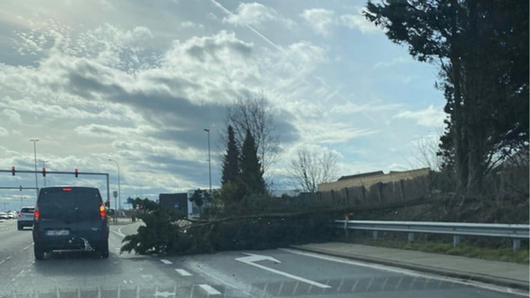 Storm Dennis: warmste 16 februari ooit, mét rukwinden tot 101 km per uur en heel wat schade