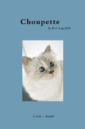Hoe zou het nog zijn met Choupette, de kat van wijlen Karl Lagerfeld?