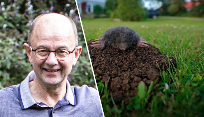 Hoe Kan Je Een Mol Uit Je Tuin Houden En Is Dat Wel Nodig Het Nieuwsblad Mobile