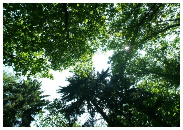 Overlegcomité stemt in met Klimaatstrategie - Het Nieuwsblad