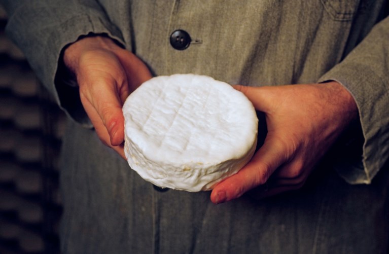 Camembert uit de rekken gehaald wegens listeria