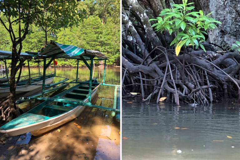 Onder de grond varen of geheimzinnige stranden bezoeken: tips voor een reis naar het Filipijnse Palawan