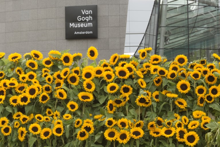Deze beroemde musea kun je bezoeken van achter je computer