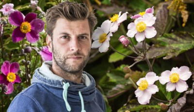 Geweldig Nieuws Voor Bartel Van Riet 37 Hij Verwacht Een Het Nieuwsblad Mobile