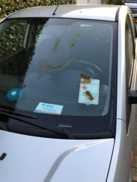 Wagens van coronavrijwilligers beklad met uitwerpselen, huis van oud-burgemeester 'versierd' met wc-papier
