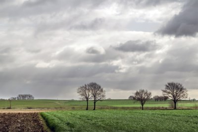 Code Geel Rukwinden Tot 75 Kilometer Per Uur Het Nieuwsblad Mobile