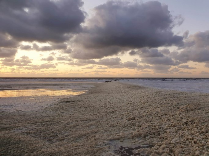 Geen groene plantjes in Blankenberge: strand ligt bedolven onder vieze blubber