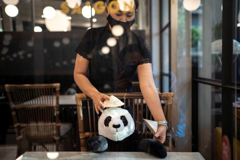 Dit restaurant gebruikt pandaberen voor ‘social distancing’