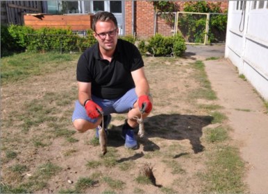 bruine ratten koloniseren tuinen van buurtbewoners zelfs m glabbeek het nieuwsblad mobile