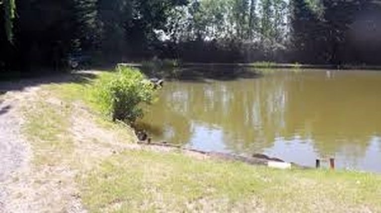 Politie vindt koppel doorzeefd met kogels op oevers van visvijver, speurders staan voor groot mysterie