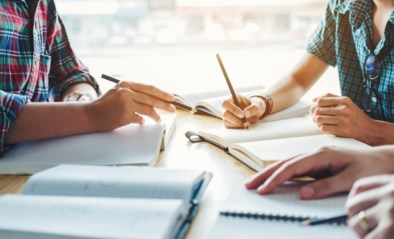 Een boom planten en lesgeven aan je teddyberen: studenten geven tips om de blokperiode door te komen