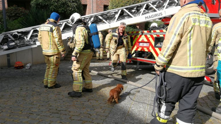 Bewoner (59) overleden bij uitslaande brand in flat in Turnhout