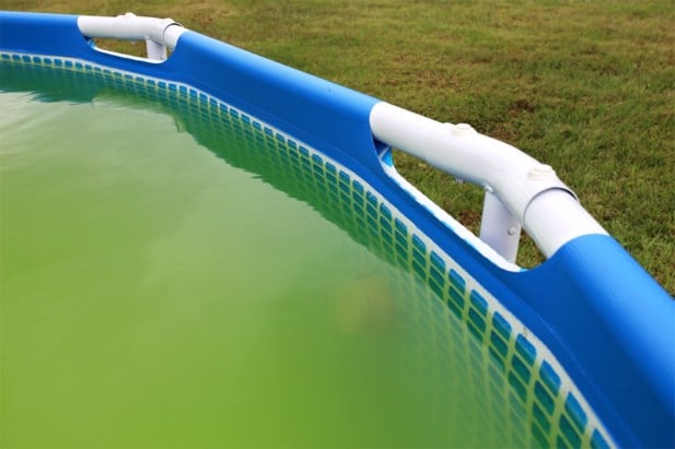 groen zwembadwater hoe ongezond is het en wat kan je ertege het nieuwsblad mobile