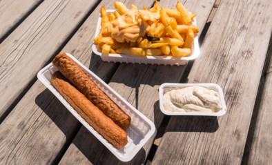 ZO ZIT DAT. Voor eens en voor altijd: wat zit er nu écht in een frikandel?