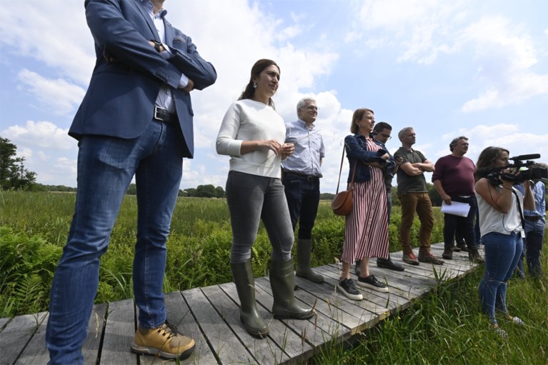 Vlaanderen maakt 4,2 miljoen vrij voor de Vallei van de Zwarte Beek