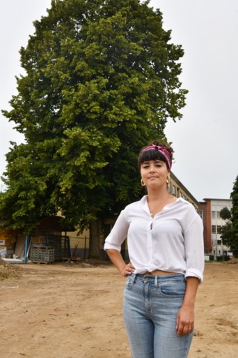 Geen toekomst voor monumentale lindeboom in Deurne-Expo, ondanks 4.444 handtekeningen
