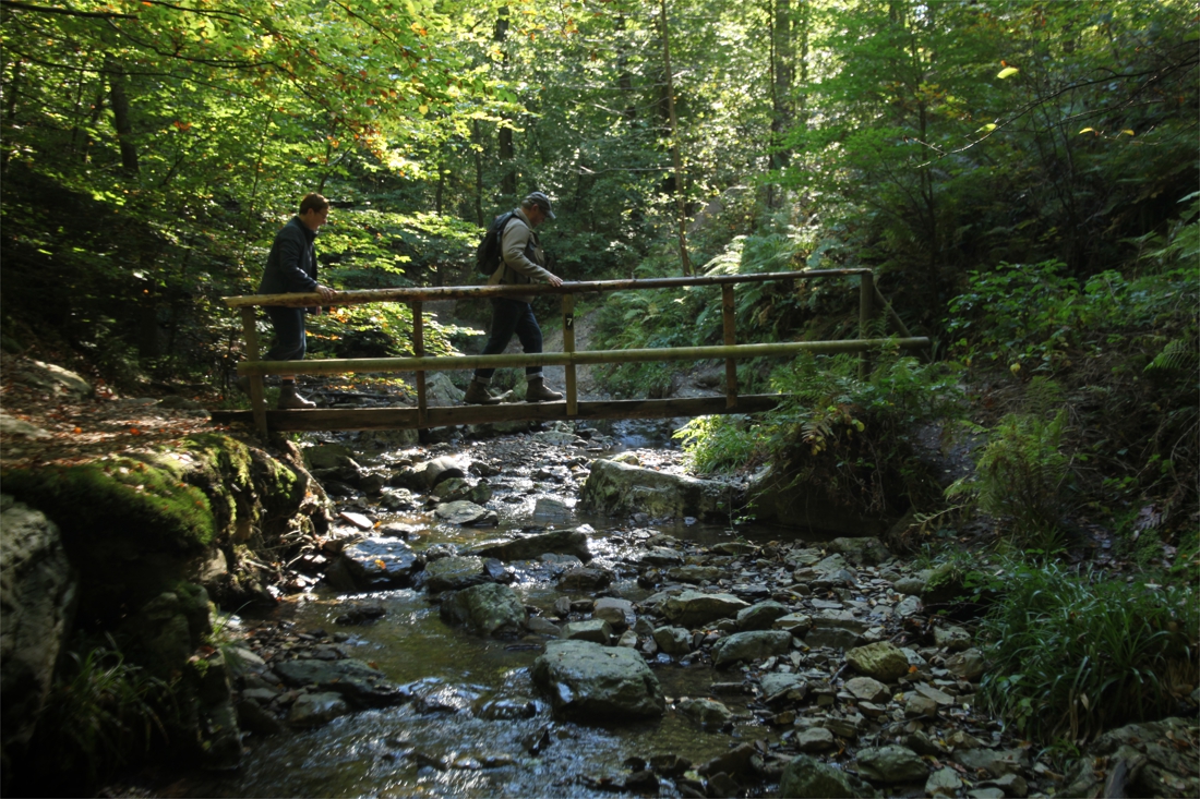 De Mooiste Wandelroutes Van België: Over Watervalletjes En ...