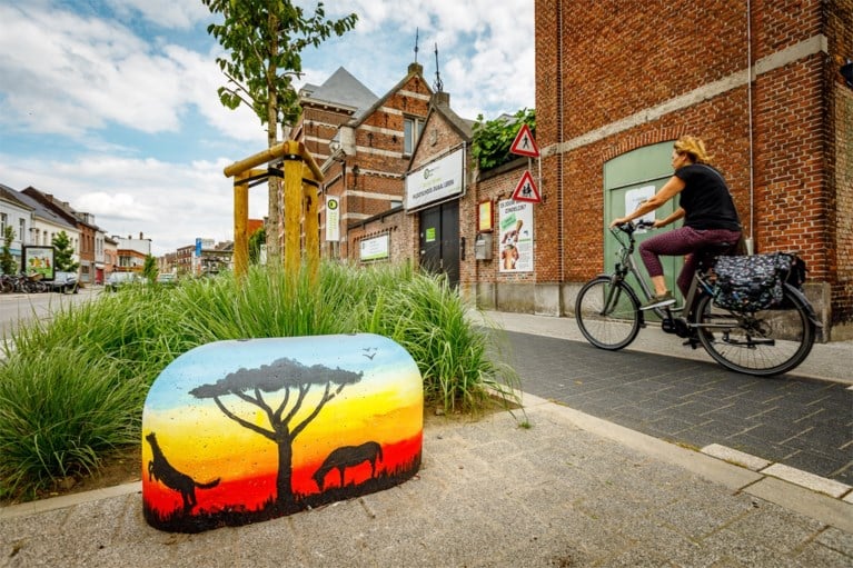 Door jeugd beschilderde varkensruggen kleuren Nekkerspoelstraat