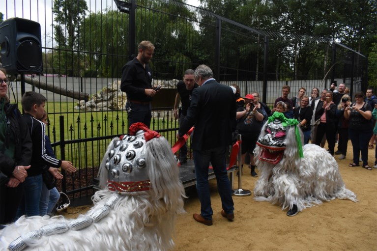 Pakawi Park opent nieuwe stek voor tijgers