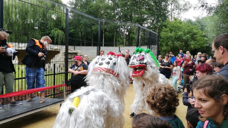 Pakawi Park opent nieuwe stek voor tijgers