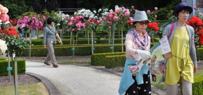 Natuur En Bos Wil Nieuw Verhaal Voor Rozentuin Sint Pieters Leeuw Het Nieuwsblad Mobile
