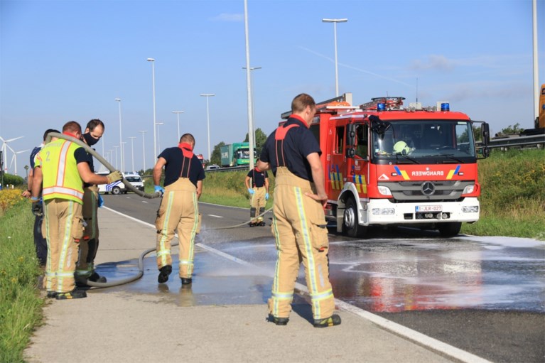 Fietser op speed pedelec sterft na ongeval met vrachtwagen