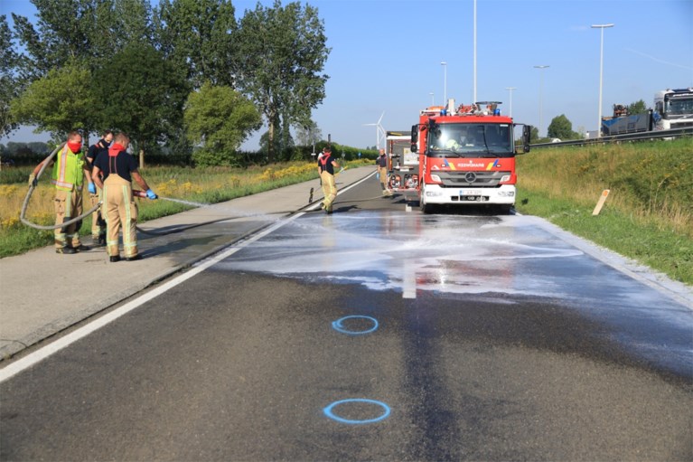 Fietser op speed pedelec sterft na ongeval met vrachtwagen