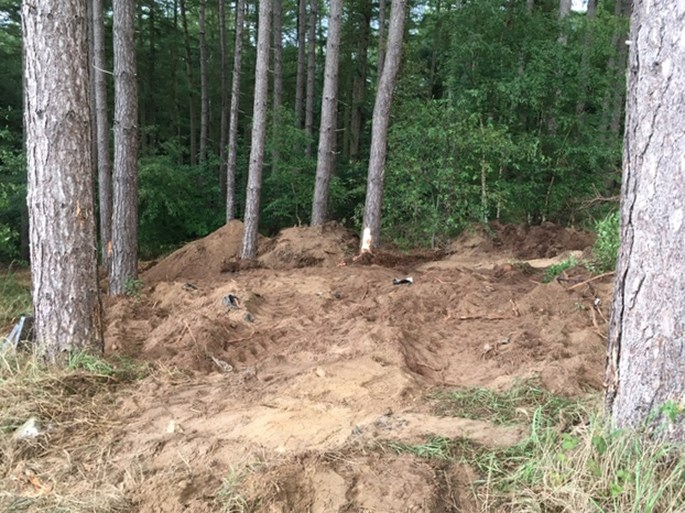 Man ondervraagd terwijl speurders zoekactie houden naar Bende van Nijvel