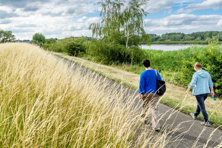 Erika Vlieghe Er Zaten Veel Kwade Mensen In Mijn Mailbox Het Nieuwsblad Mobile