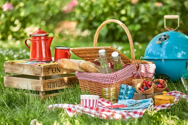 scheerapparaat converteerbaar begin Coronavrij op de hei en wereldsmaken: tips voor een geslaagde picknick |  Het Nieuwsblad Mobile