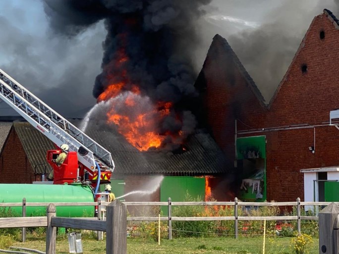 Zware brand bij fruit- en groentehandel: drie loodsen gaan in vlammen op