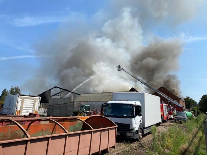 Zware brand bij fruit- en groentehandel: drie loodsen gaan in vlammen op