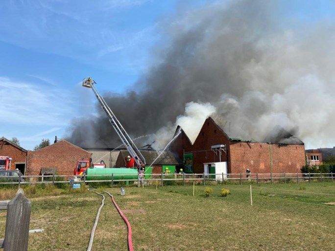Zware brand bij fruit- en groentehandel: drie loodsen gaan in vlammen op