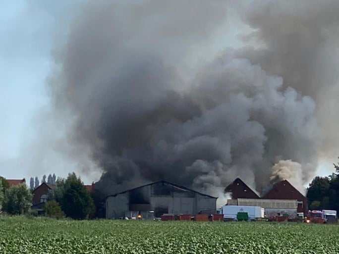 Zware brand bij fruit- en groentehandel: drie loodsen gaan in vlammen op