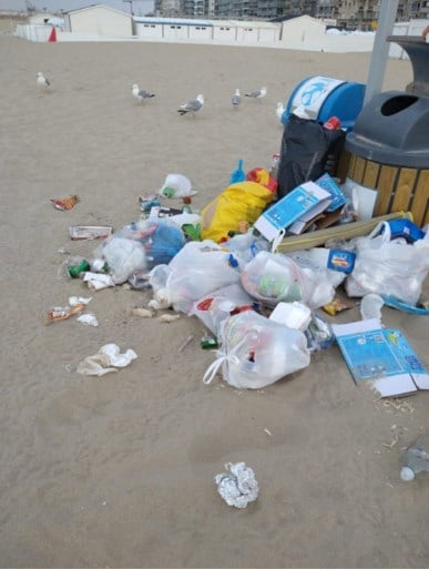 Vrijwilligers ruimen in één dag ruim 2.000 liter afval op van het strand: “Dit was een oorlogszone”