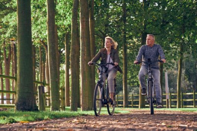 Een Elektrische Fiets Kopen Ook Hierop Moet Je Letten Het Nieuwsblad Mobile
