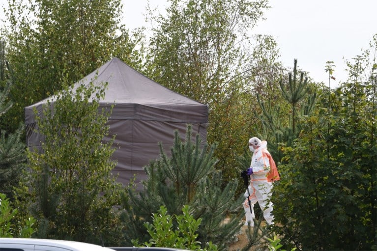 Zesjarig Nederlandse meisje dood aangetroffen in vakantiepark Molenheide