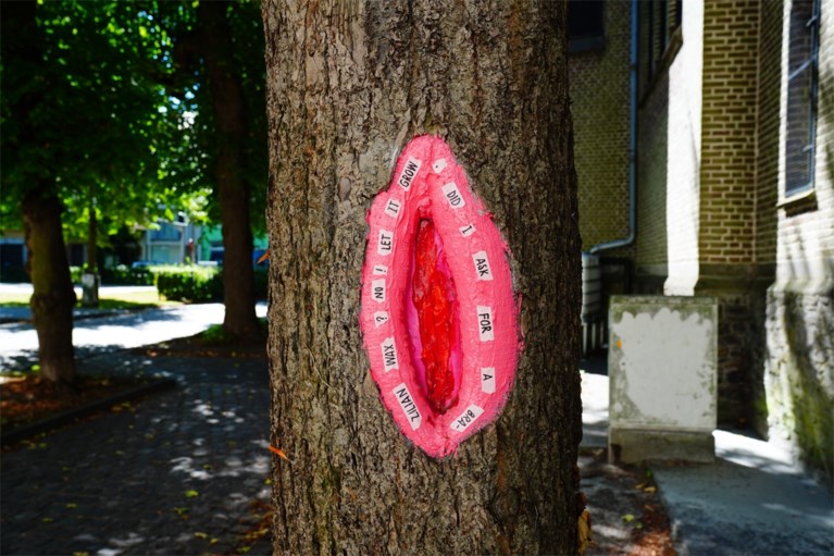 ‘Vaginabomen’ veroveren Gents straatbeeld, en daar valt niets aan te doen