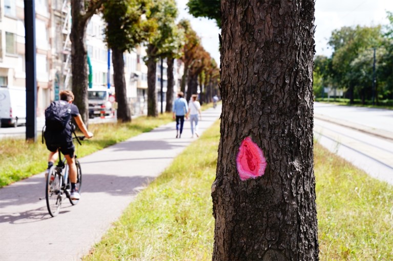 ‘Vaginabomen’ veroveren Gents straatbeeld, en daar valt niets aan te doen