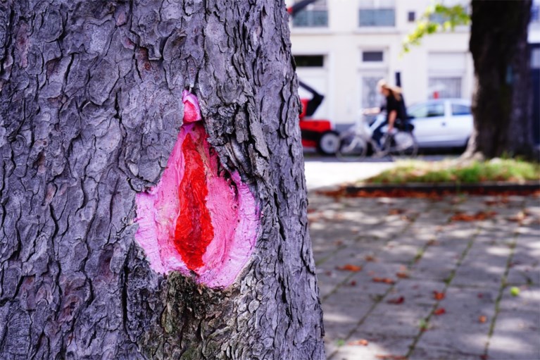 ‘Vaginabomen’ veroveren Gents straatbeeld, en daar valt niets aan te doen