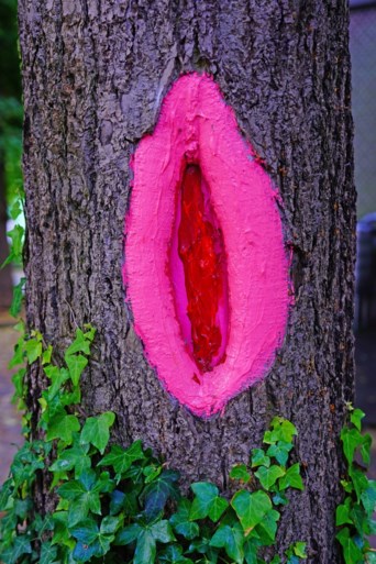 ‘Vaginabomen’ veroveren Gents straatbeeld, en daar valt niets aan te doen