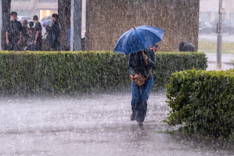 Vanaf 15 uur trekt popcorn-onweer dat lokaal zeer fel kan zijn over Vlaanderen