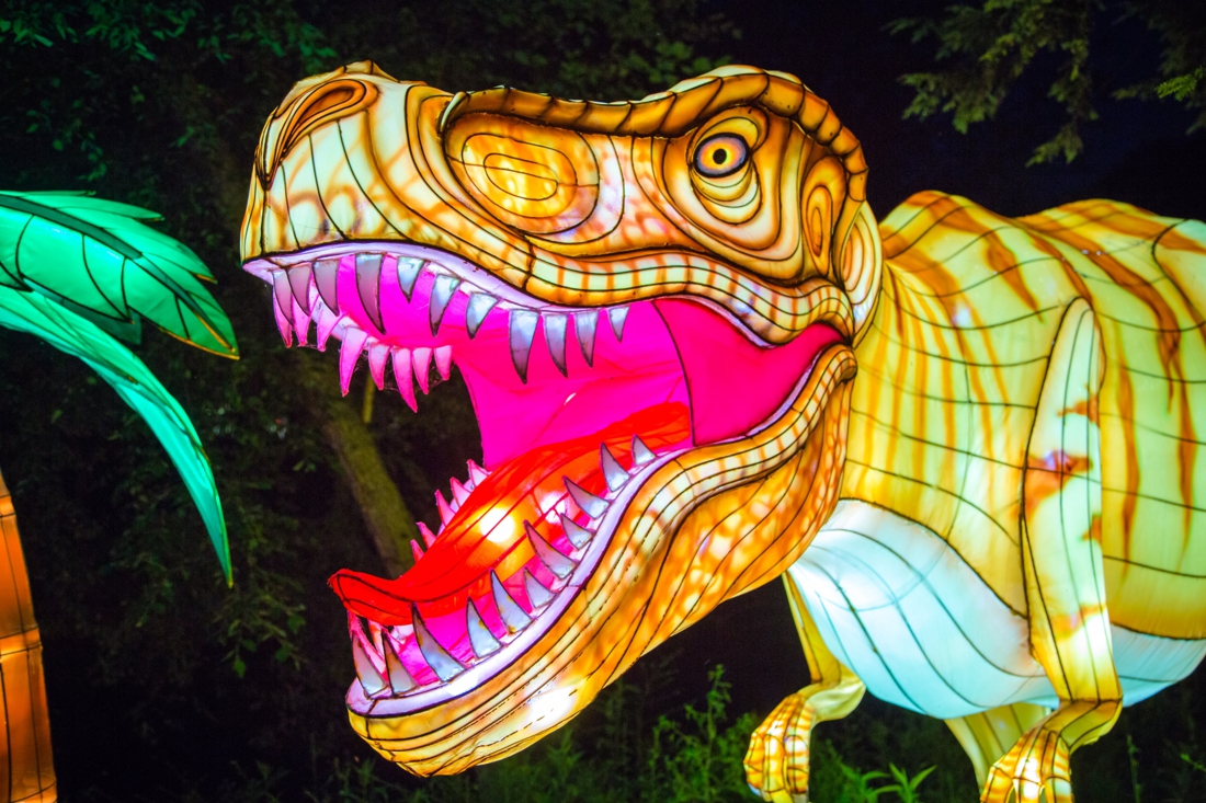 Na Zoo Antwerpen krijgt ook Planckendael eigen lichtfestival Het