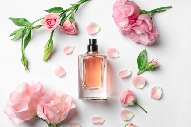 Deze website helpt je om een nieuw parfum te kiezen